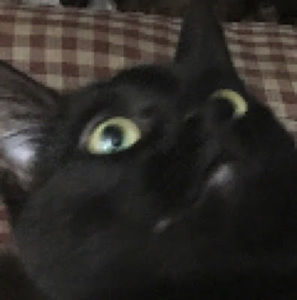 Meet your Posher, Jenna